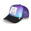 Cargar imagen en el visor de la galería, Arctic Chill