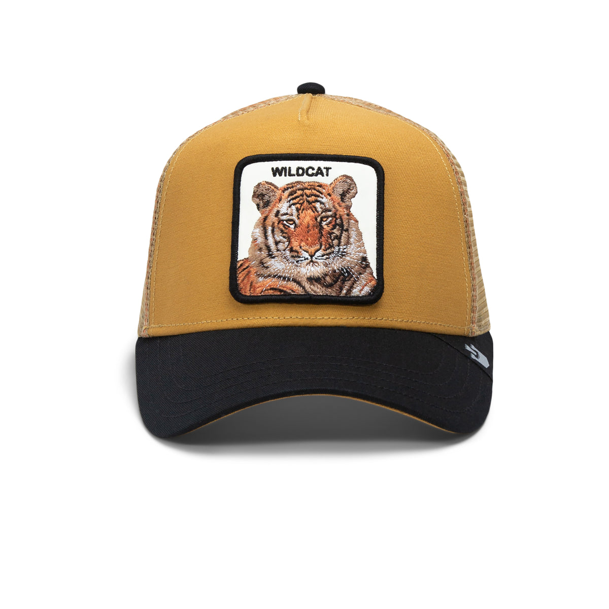 The Wildcat Tiger