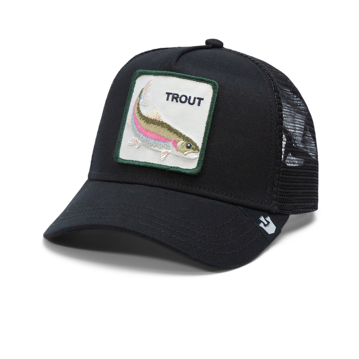 The Trout Fish