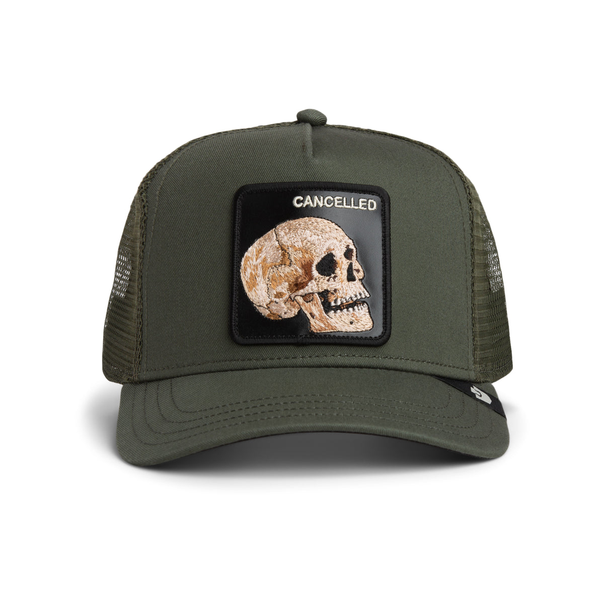 The Cancelled Skull