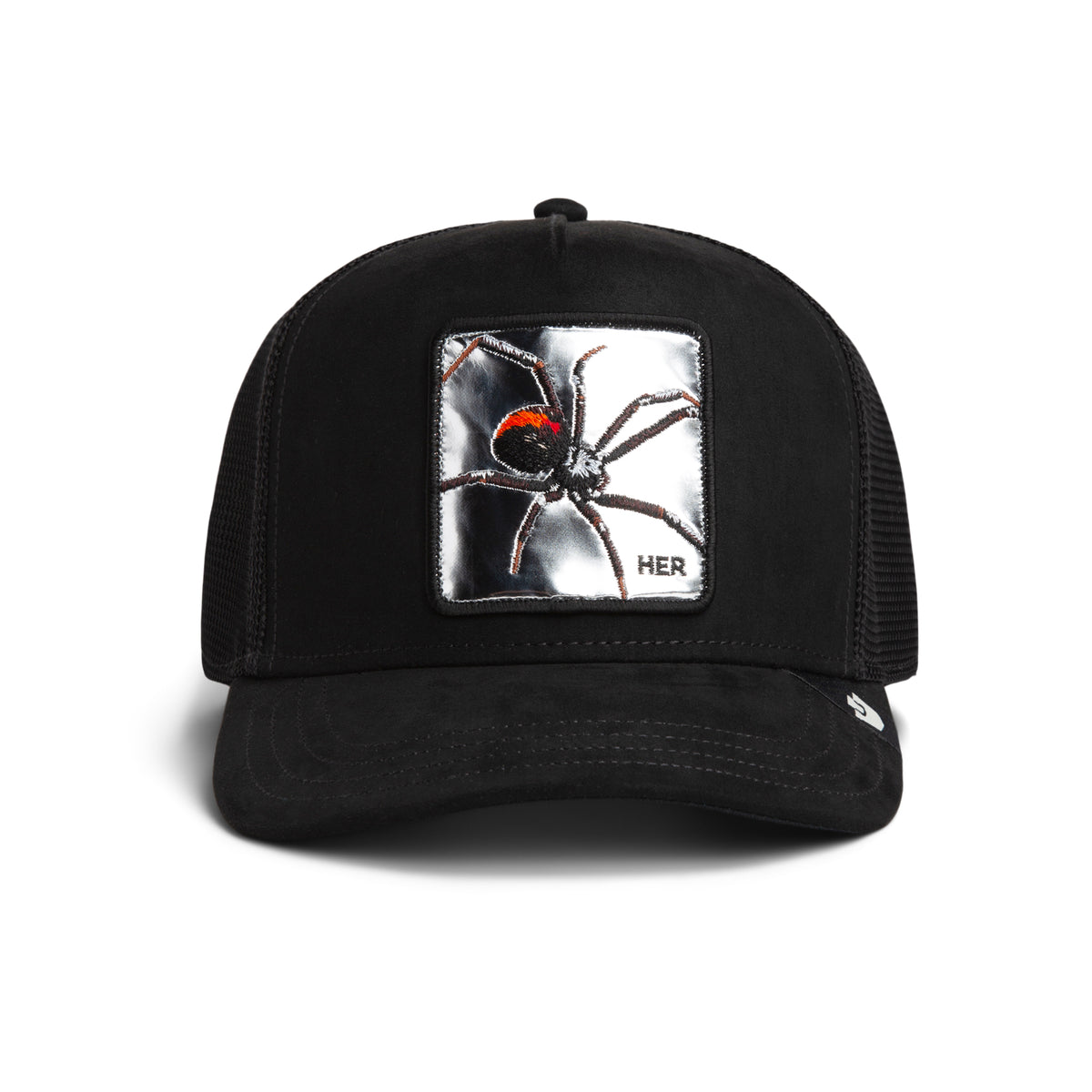 Silver Spider