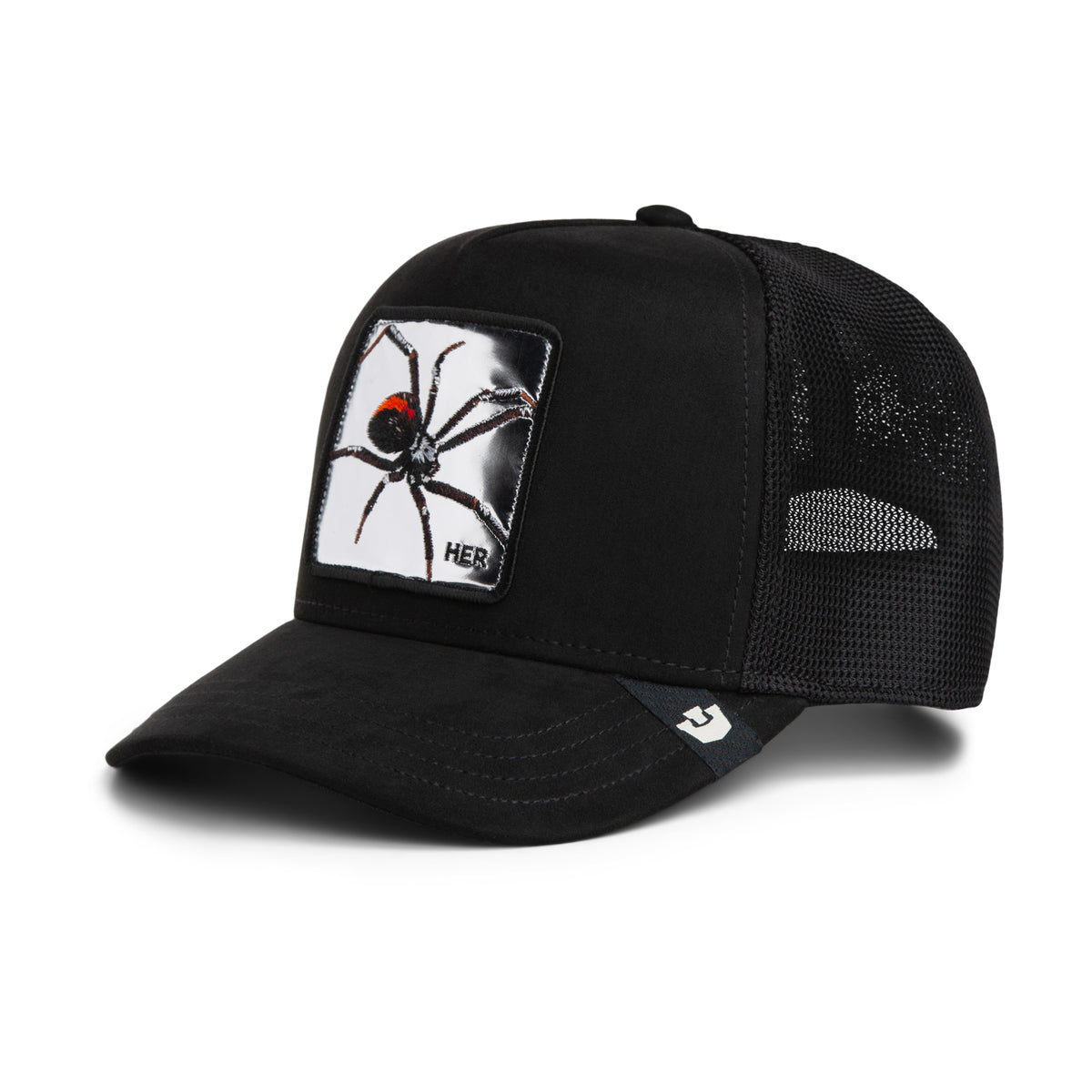 Silver Spider