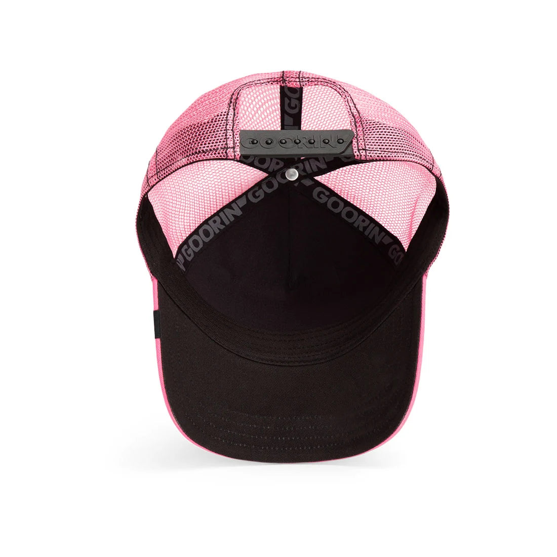 Pop Art Queen Lion