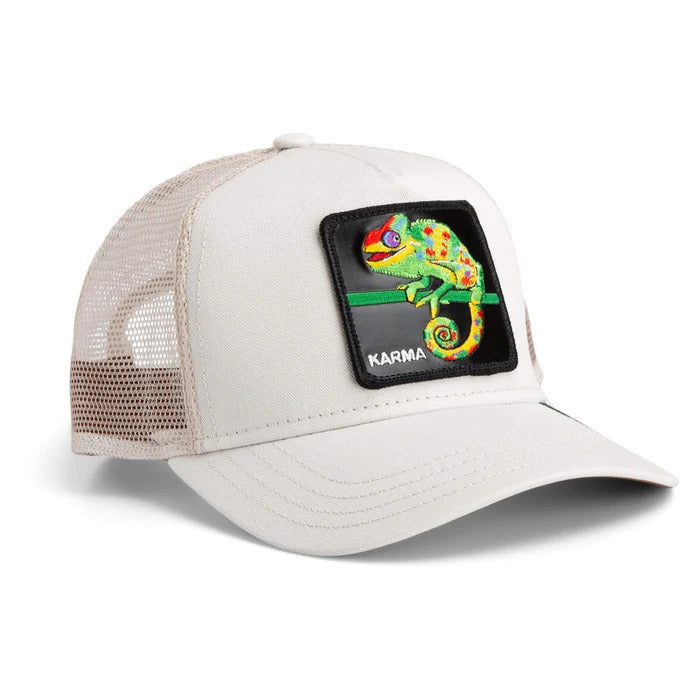 The Karma Chameleon