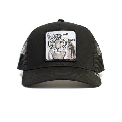 Earn Your Stripes (KIDS)