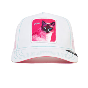 Kitty Trip