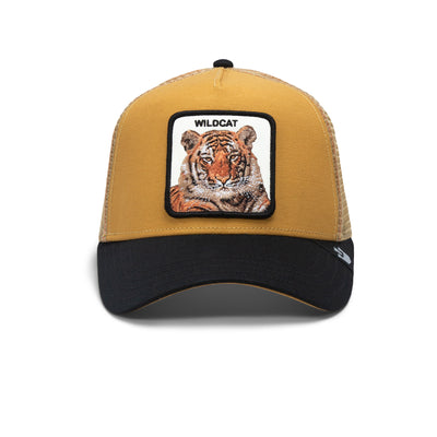The Wildcat Tiger