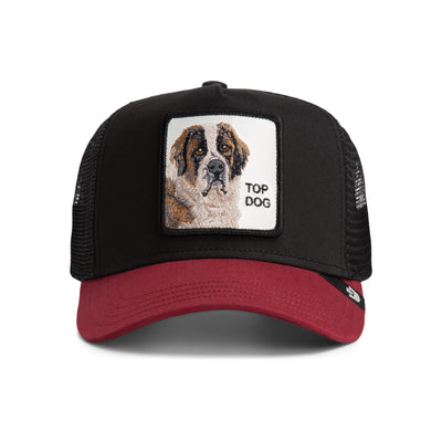 The Top Dog