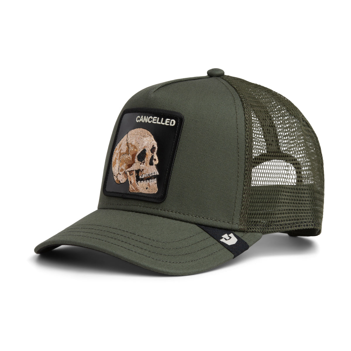 The Cancelled Skull