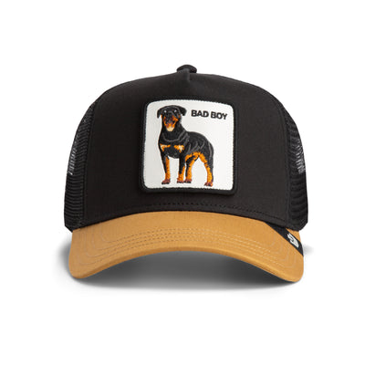Bad Boy Trucker