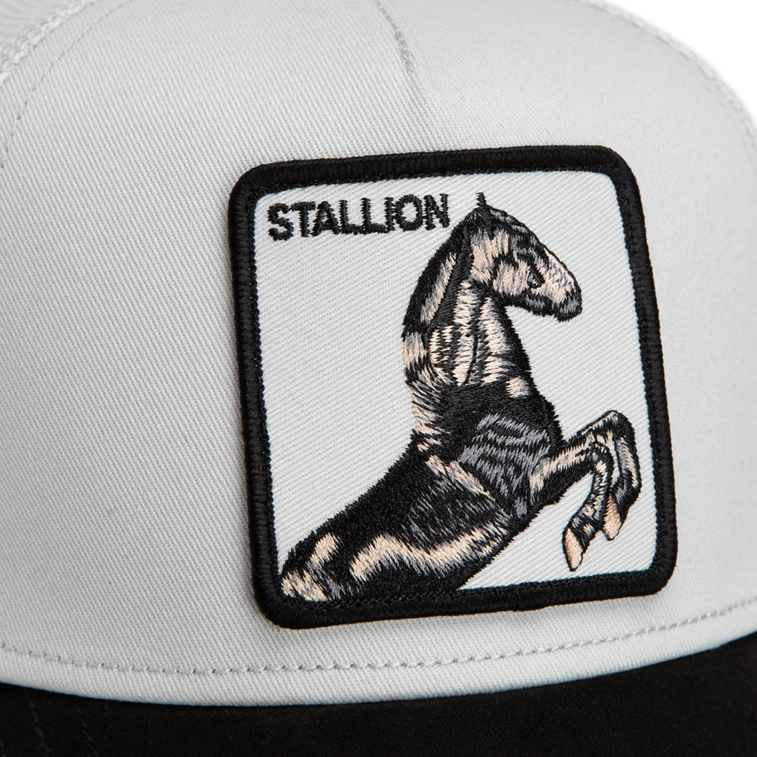 Suede Stallion
