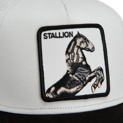 Suede Stallion
