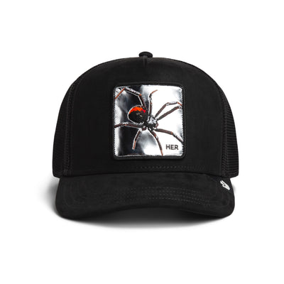 Silver Spider