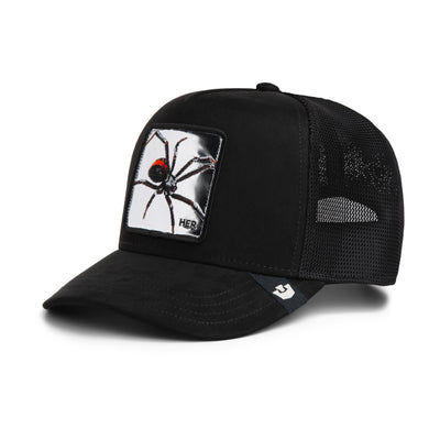Silver Spider