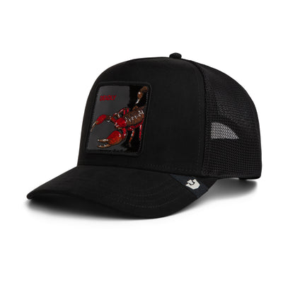 Black Out Scorpion