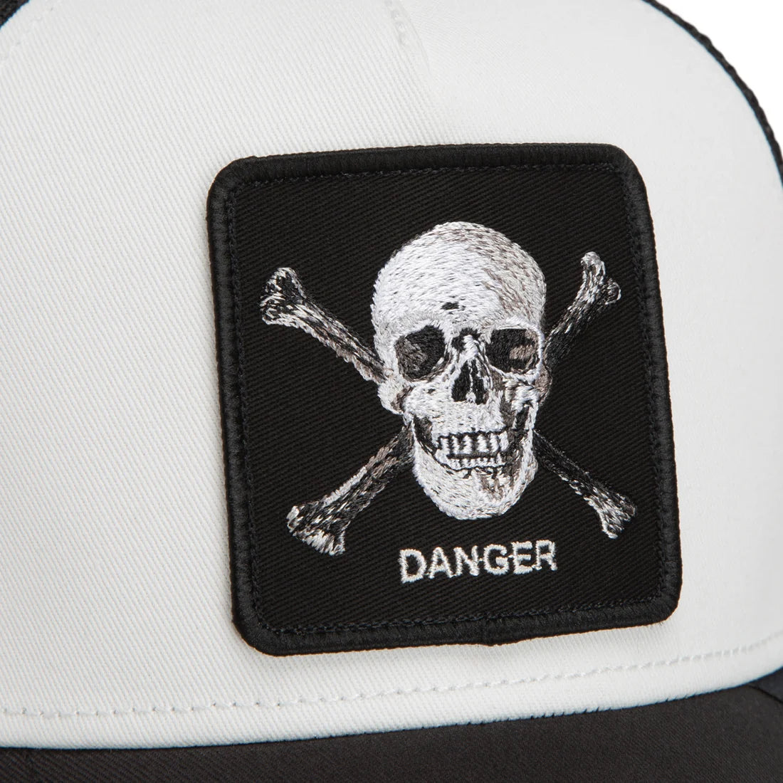 Danger Skull and Crossbones