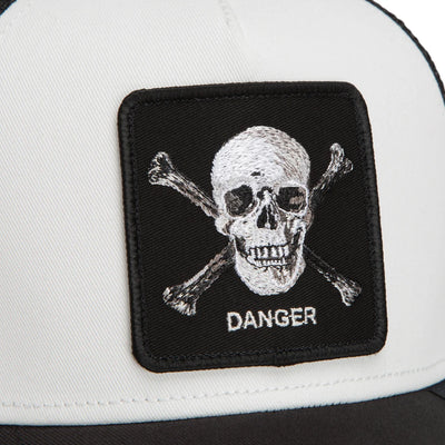 Danger Skull and Crossbones