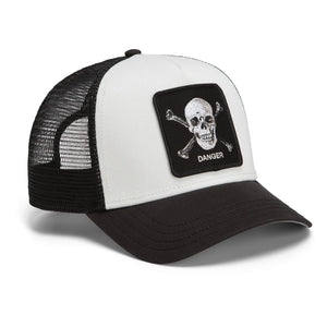 Danger Skull and Crossbones