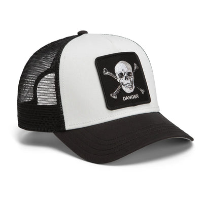 Danger Skull and Crossbones