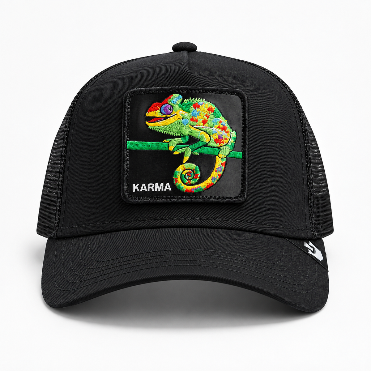 The Karma Chameleon