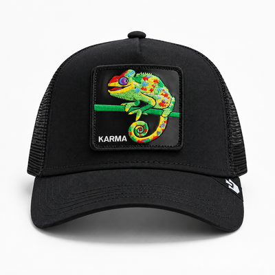 The Karma Chameleon