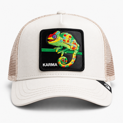 The Karma Chameleon