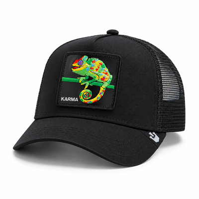 The Karma Chameleon