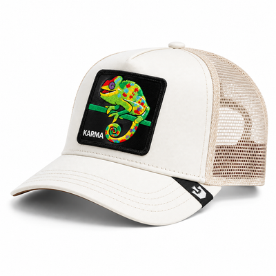 The Karma Chameleon