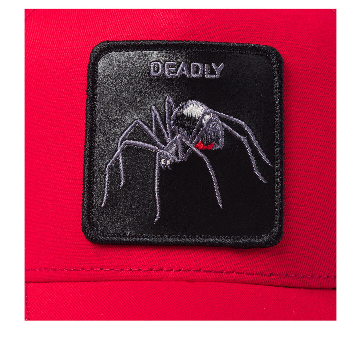 The Deadly Spider