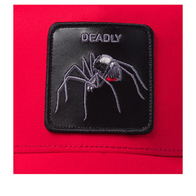 The Deadly Spider