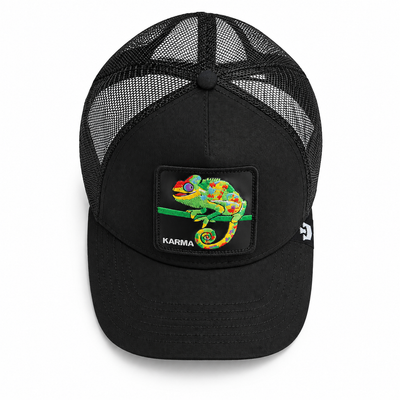 The Karma Chameleon