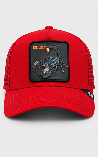 The Deadly Scorpion
