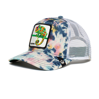 Culture Chameleon